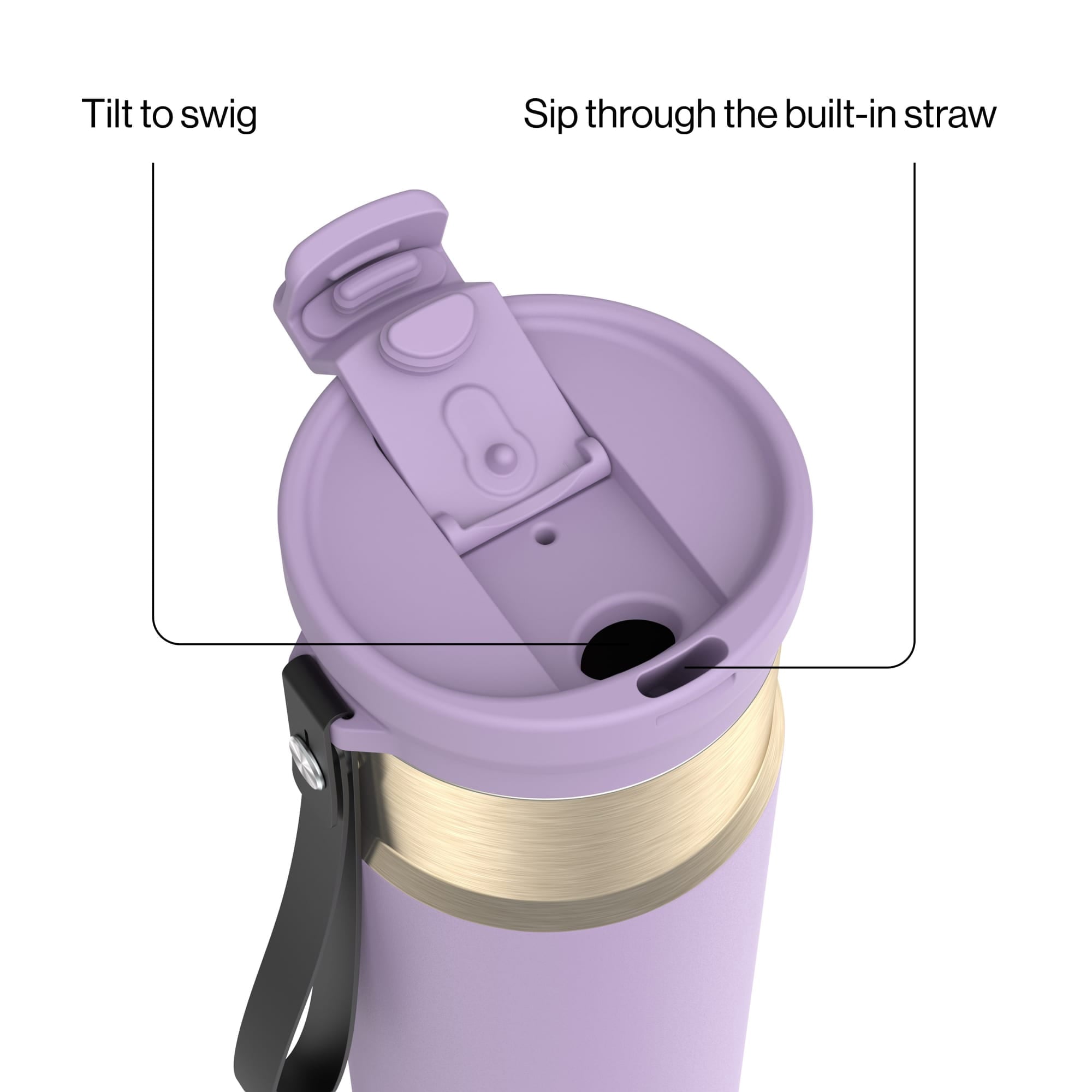 Contigo DualSip 24 oz Leakproof Insulated Water Bottle with Carrying Strap and 2-Way Lid M41U