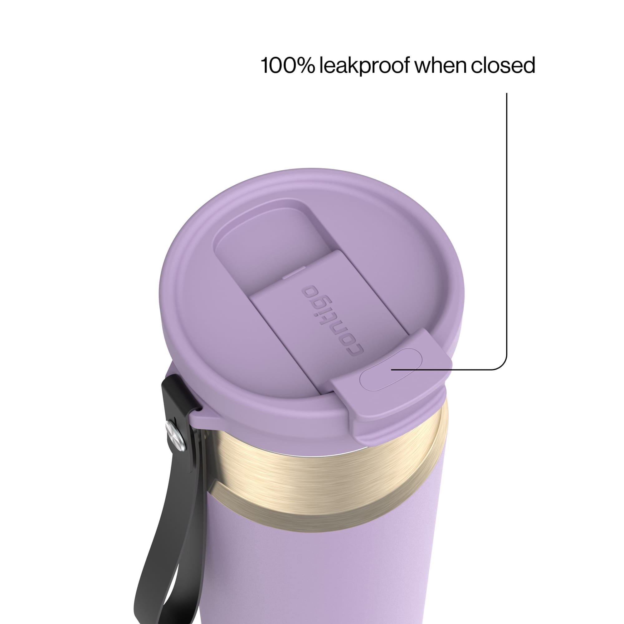 Contigo DualSip 24 oz Leakproof Insulated Water Bottle with Carrying Strap and 2-Way Lid M41U