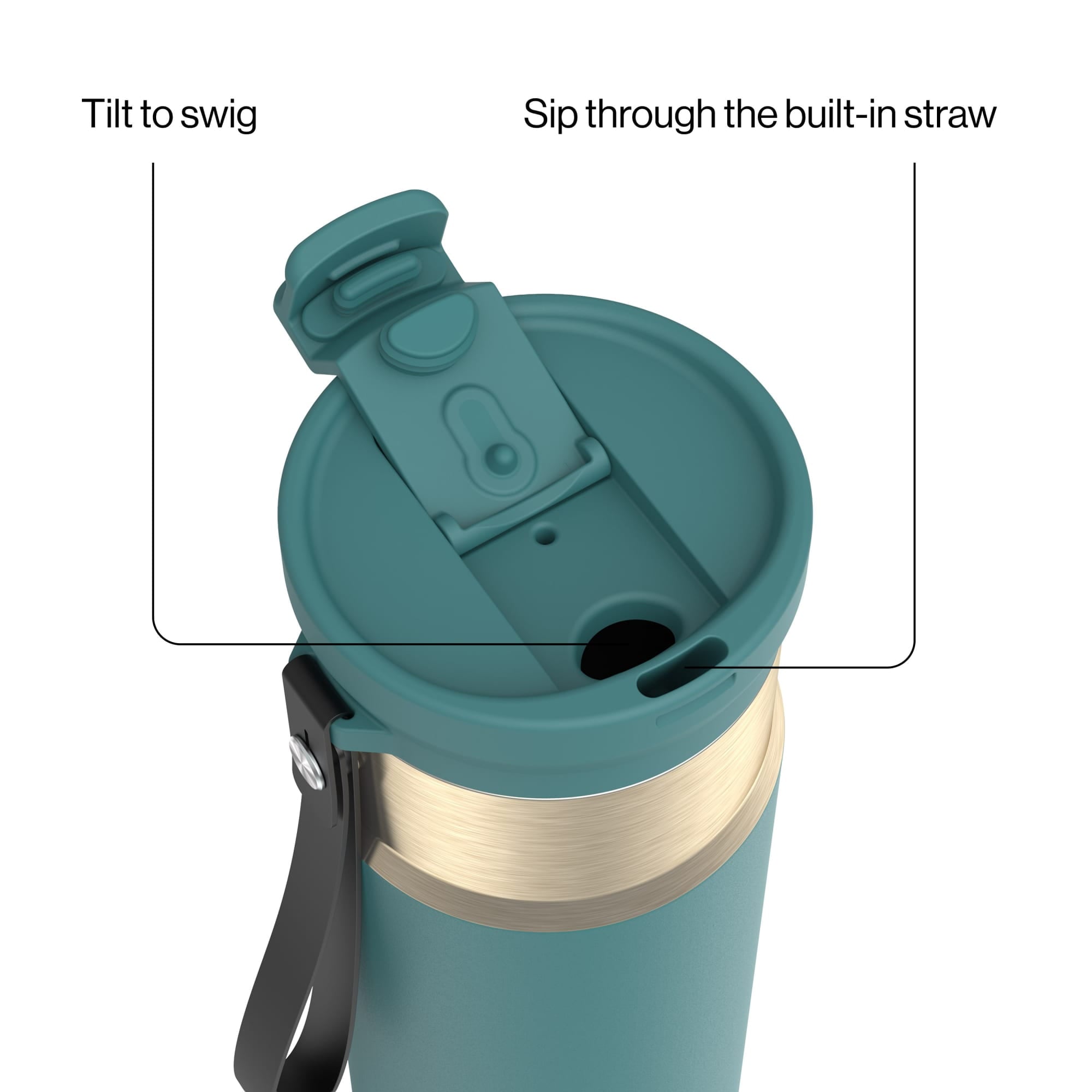 Contigo DualSip 24 oz Leakproof Insulated Water Bottle with Carrying Strap and 2-Way Lid M41U
