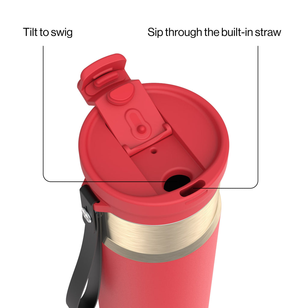 Contigo DualSip 24 oz Leakproof Insulated Water Bottle with Carrying Strap and 2-Way Lid M41U