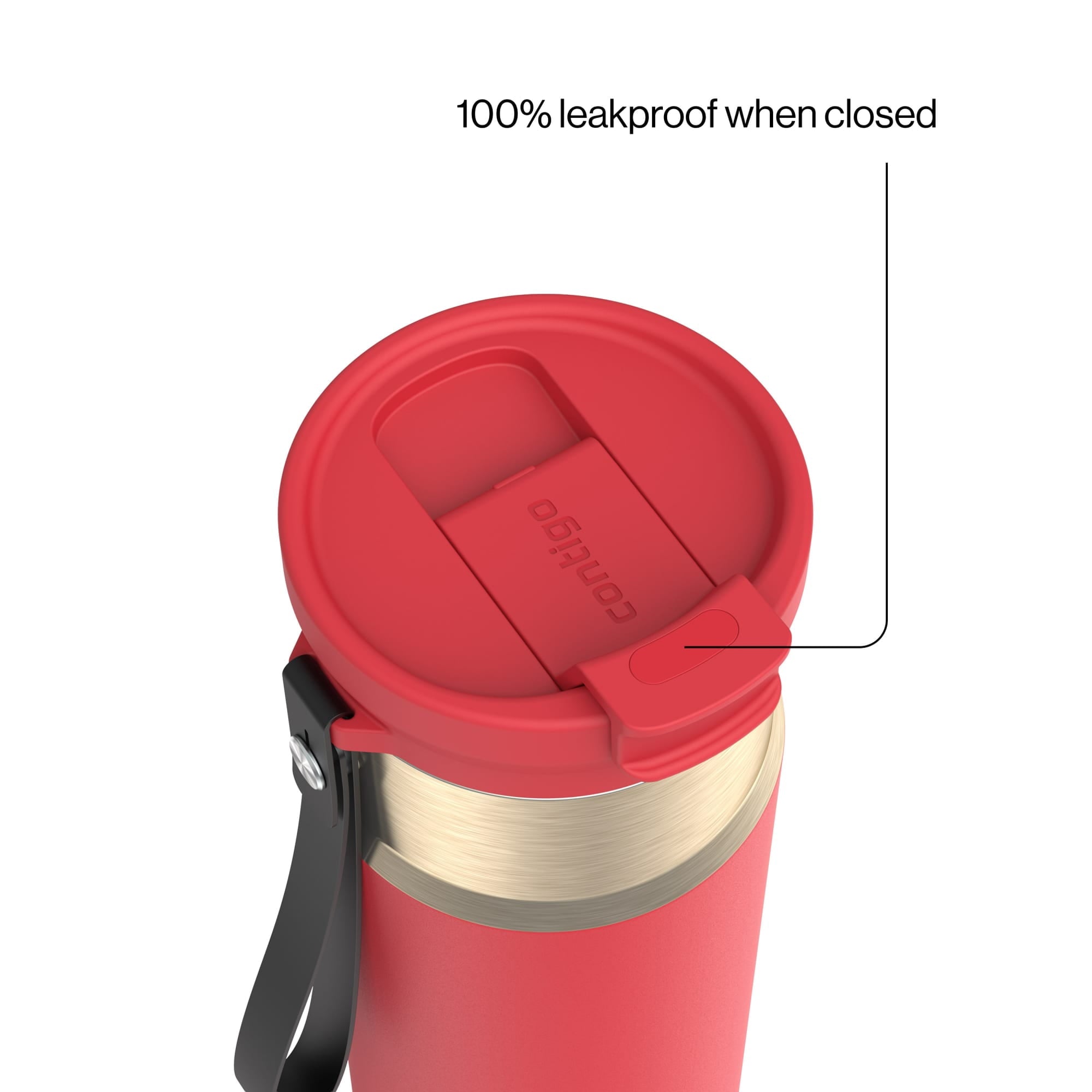 Contigo DualSip 24 oz Leakproof Insulated Water Bottle with Carrying Strap and 2-Way Lid M41U