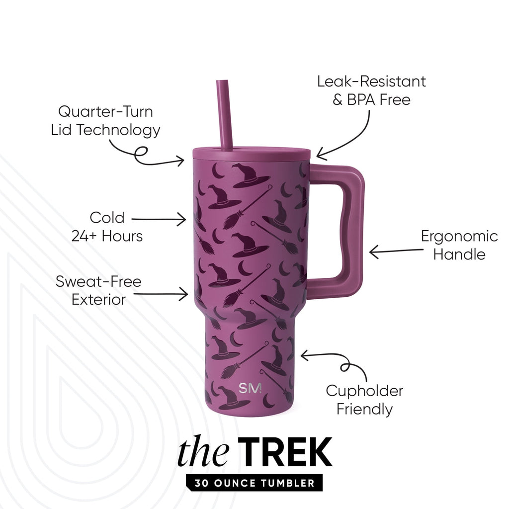 Simple Modern 30 fl oz Insulated Stainless Steel Trek Tumbler with Straw Lid | Seaglass Sage and Cream Checkmate M690P