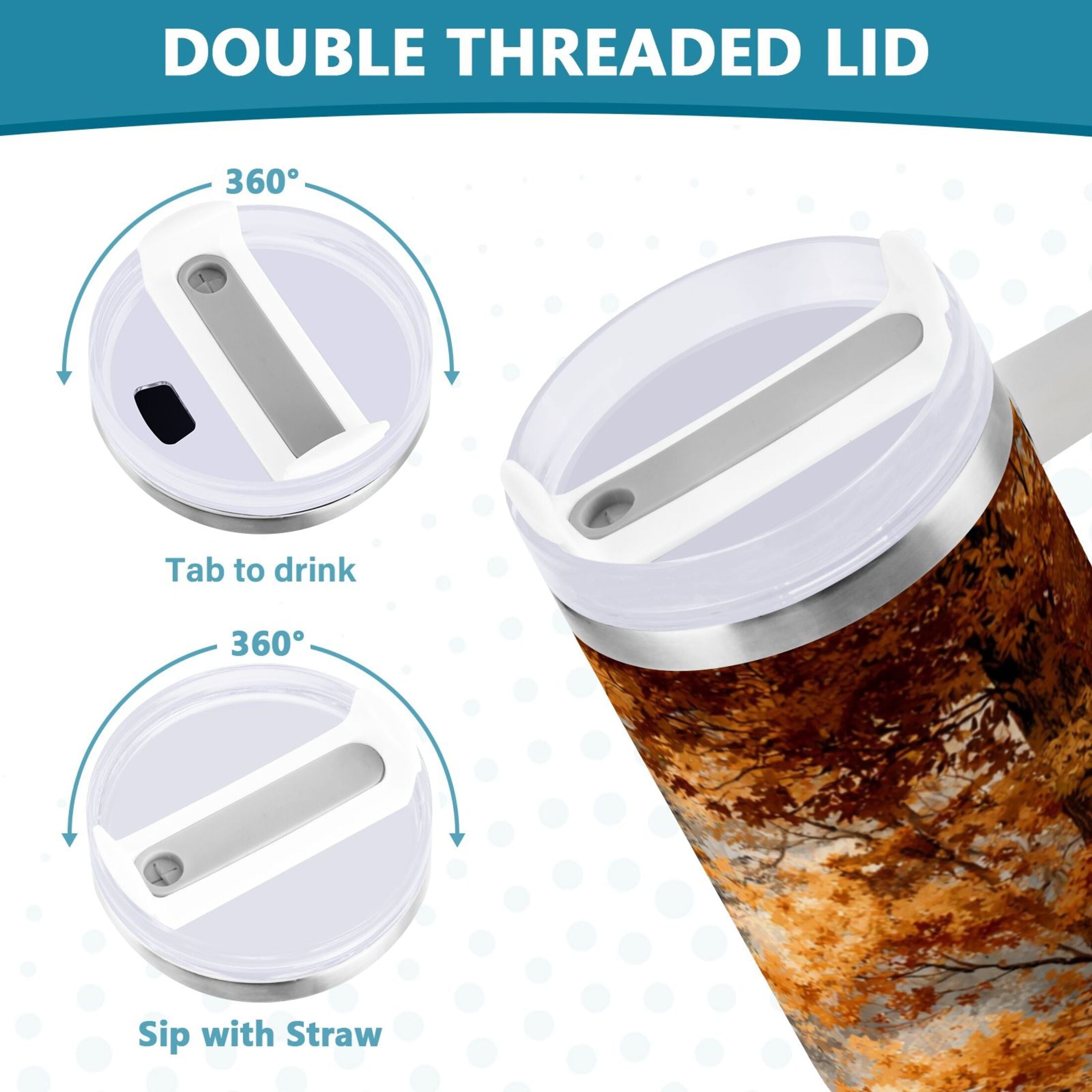 30 oz Insulated Stainless Steel Tumbler Double Wall Stainless Steel Tumbler with 2-Way Drinking Beautiful Autumn Forest M556X