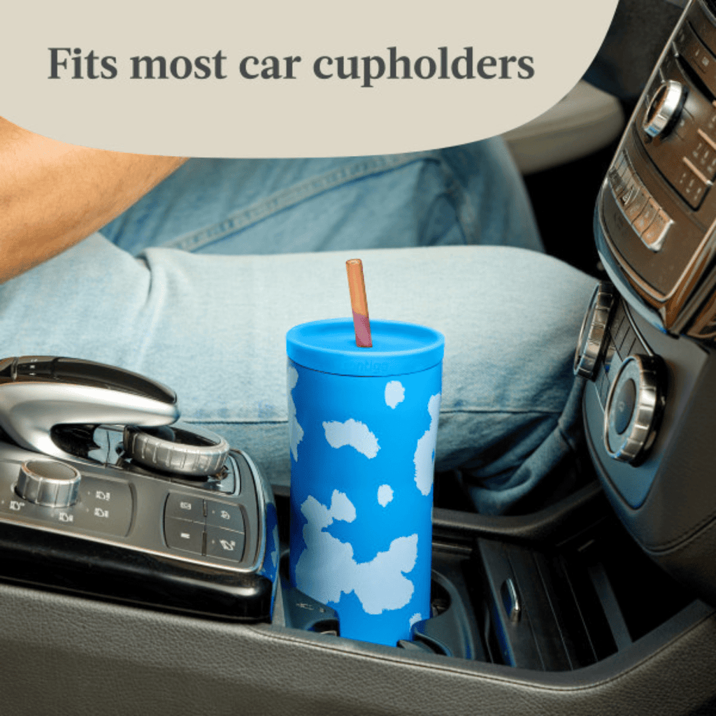 Contigo x Ally Love Streeterville 2.0 Stainless Steel Tumbler with Straw, 24 oz, Stellar Jay M112S