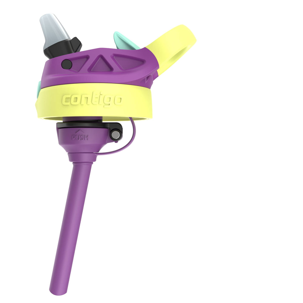 (4 pack) Contigo Kids Water Bottle with Redesigned AUTOSPOUT Straw, 14 oz, Grape Forest Haven M16G