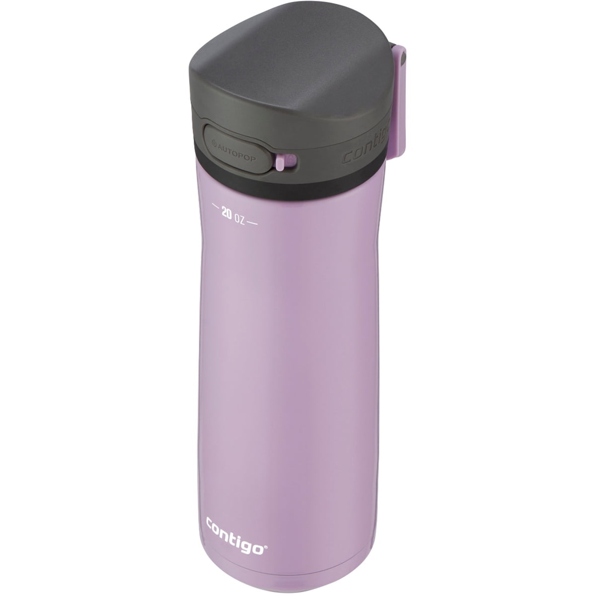 Contigo 20 oz. Jackson Chill 2.0 Water Bottle - Stainless Steel w/Licorice M59S