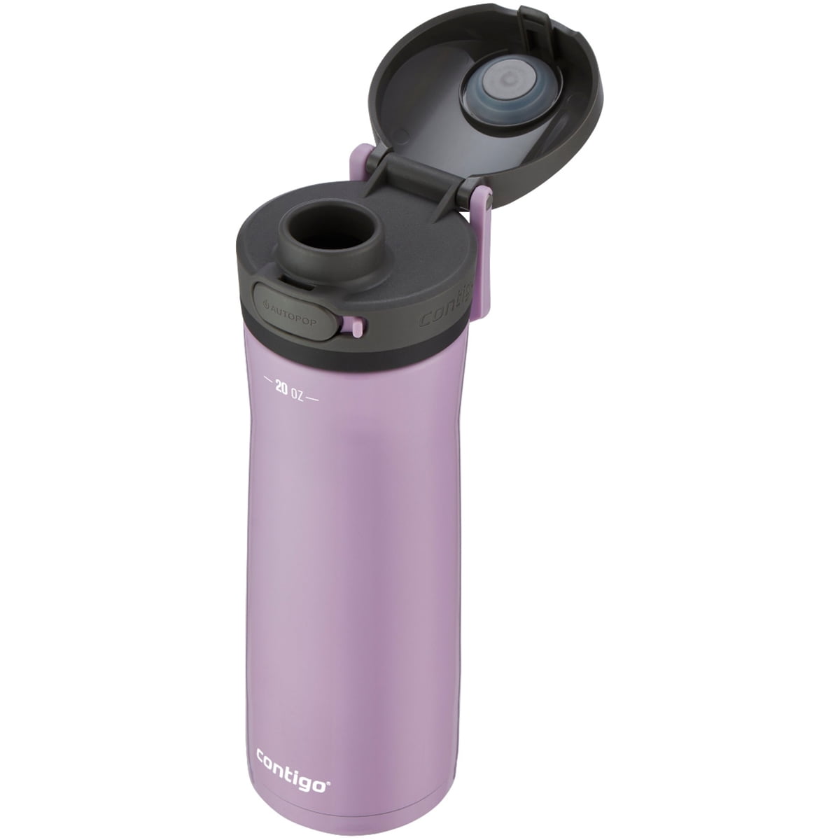 Contigo 20 oz. Jackson Chill 2.0 Water Bottle - Stainless Steel w/Licorice M59S