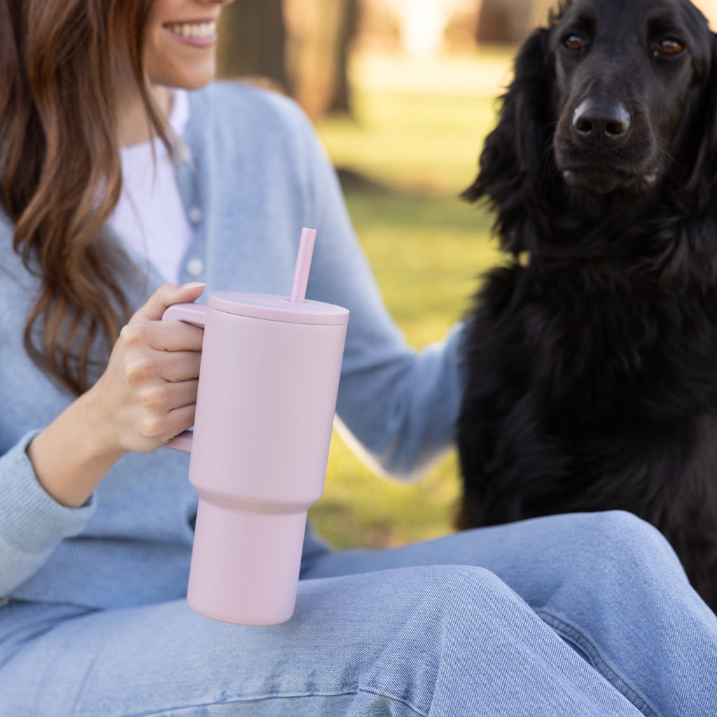 Simple Modern 30 fl oz Insulated Stainless Steel Trek Tumbler with Straw Lid | Seaglass Sage and Cream Checkmate M690P
