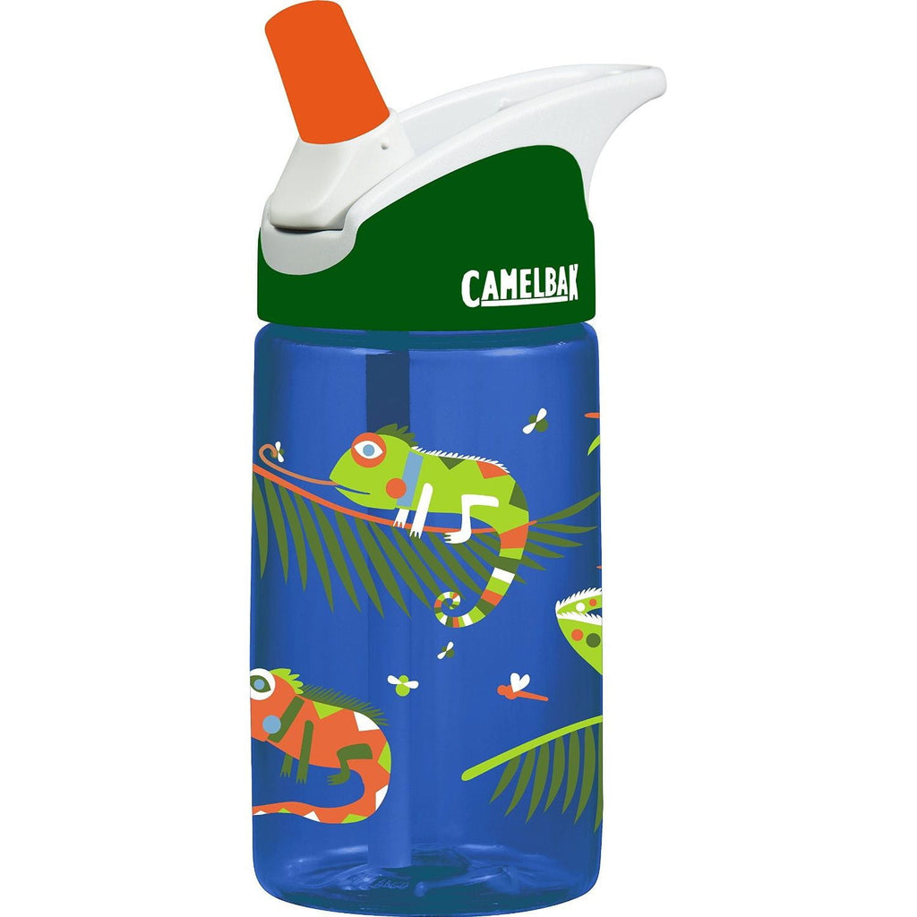 CamelBak Eddy Kids BPA Free Water Bottle Airplane Bandits Bottle Only M312R