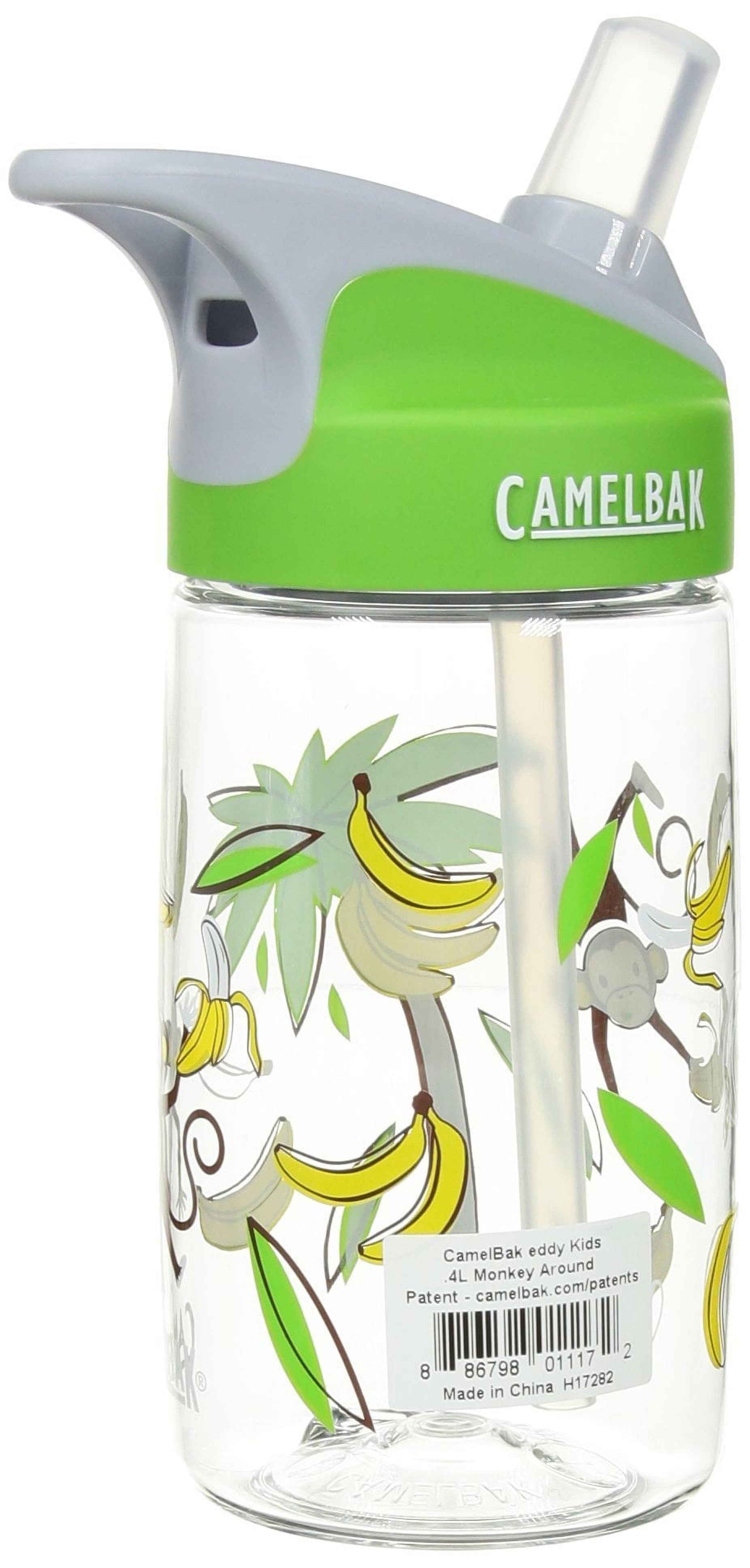 CamelBak Eddy Kids BPA Free Water Bottle Airplane Bandits Bottle Only M312R
