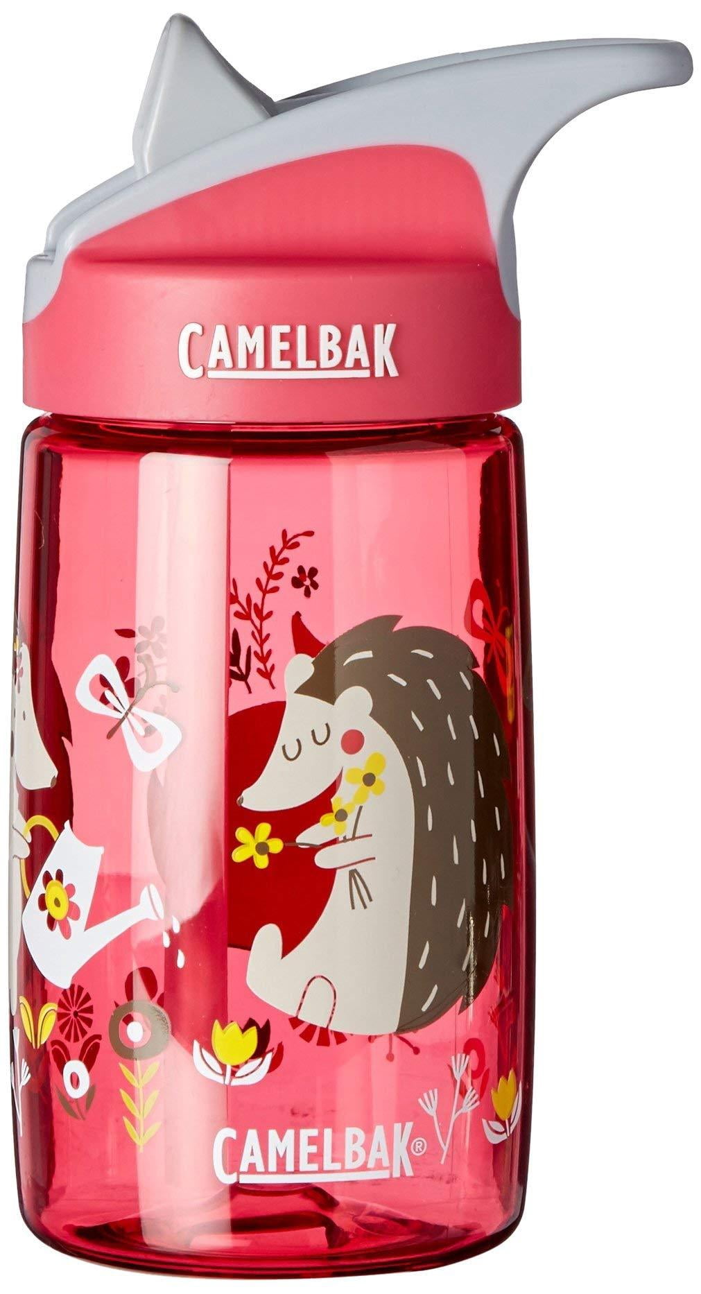 CamelBak Eddy Kids BPA Free Water Bottle Airplane Bandits Bottle Only M312R