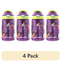 (4 pack) Contigo Kids Water Bottle with Redesigned AUTOSPOUT Straw, 14 oz, Grape Forest Haven M16G