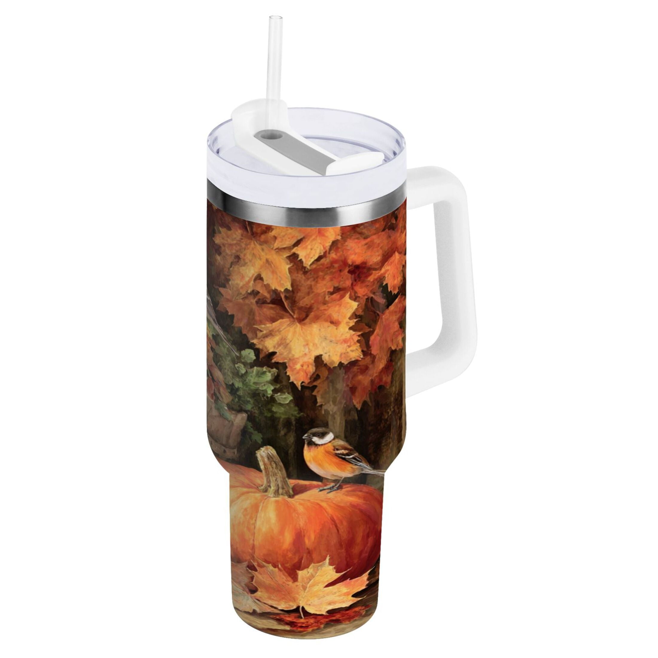 30 oz Insulated Stainless Steel Tumbler Double Wall Stainless Steel Tumbler with 2-Way Drinking Beautiful Fall Scene M610K