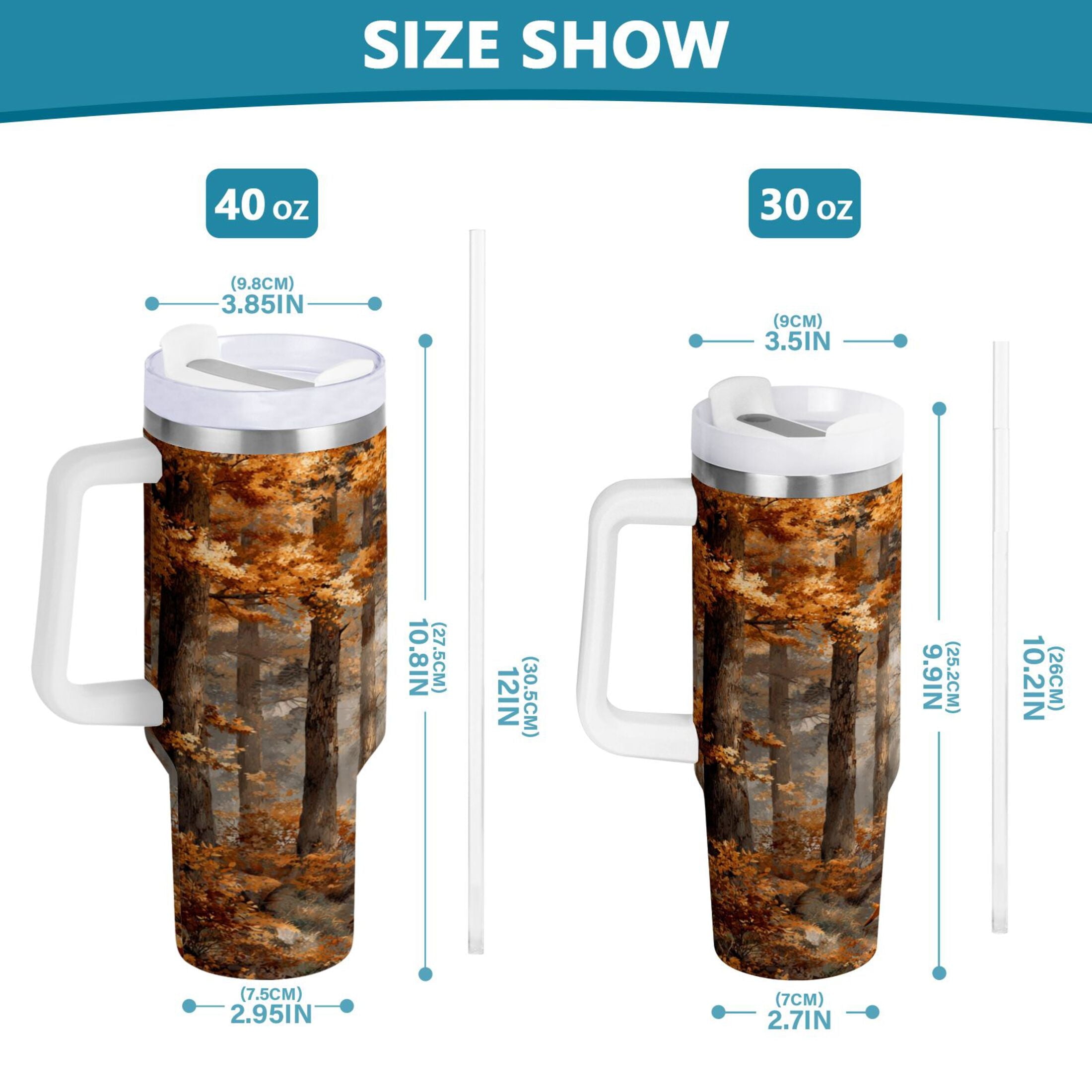 30 oz Insulated Stainless Steel Tumbler Double Wall Stainless Steel Tumbler with 2-Way Drinking Beautiful Autumn Forest M556X