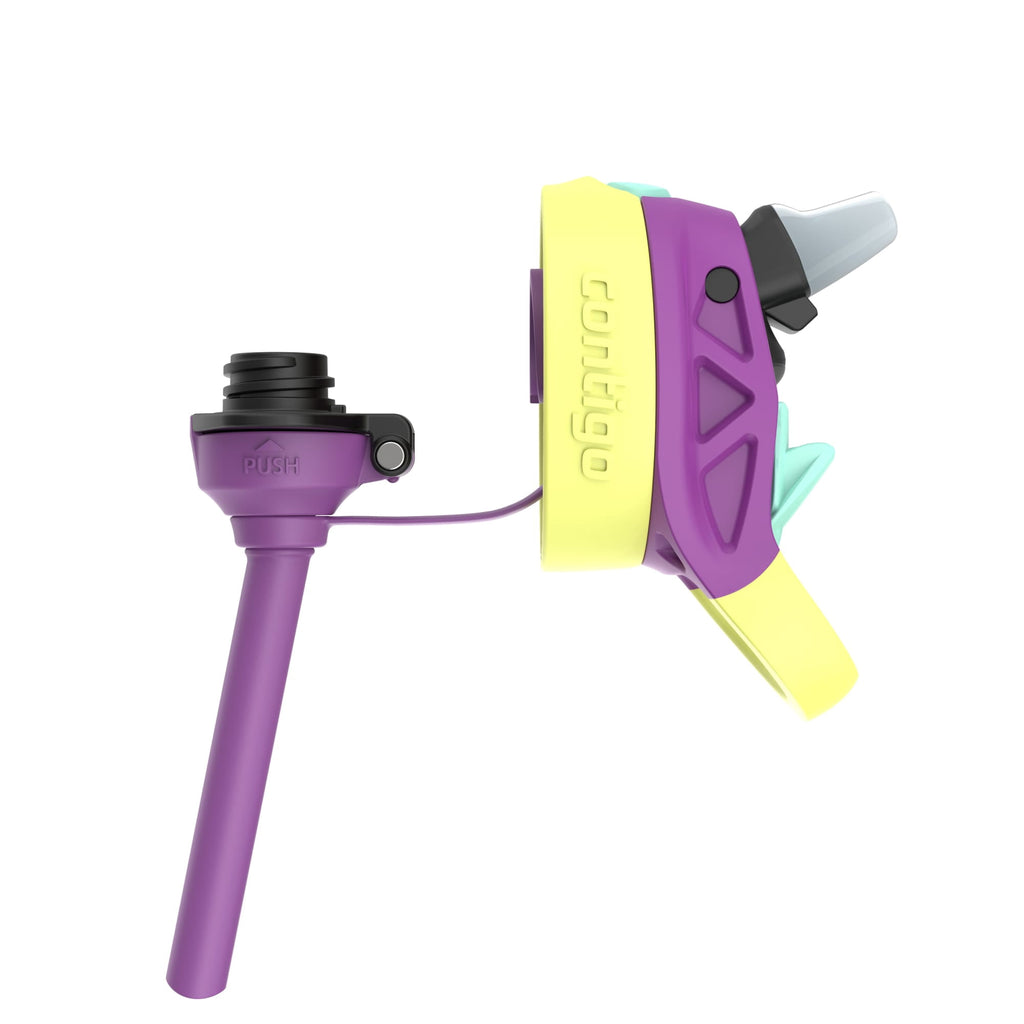 Contigo Kids Water Bottle with Redesigned AUTOSPOUT Straw, 14 oz, Grape Forest Haven M03W