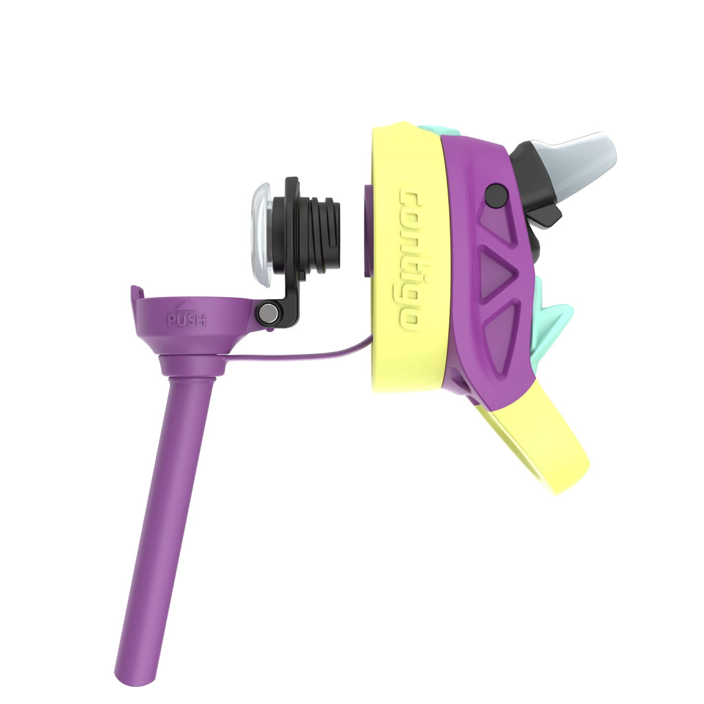 Contigo Kids Water Bottle with Redesigned AUTOSPOUT Straw, 14 oz, Grape Forest Haven M03W