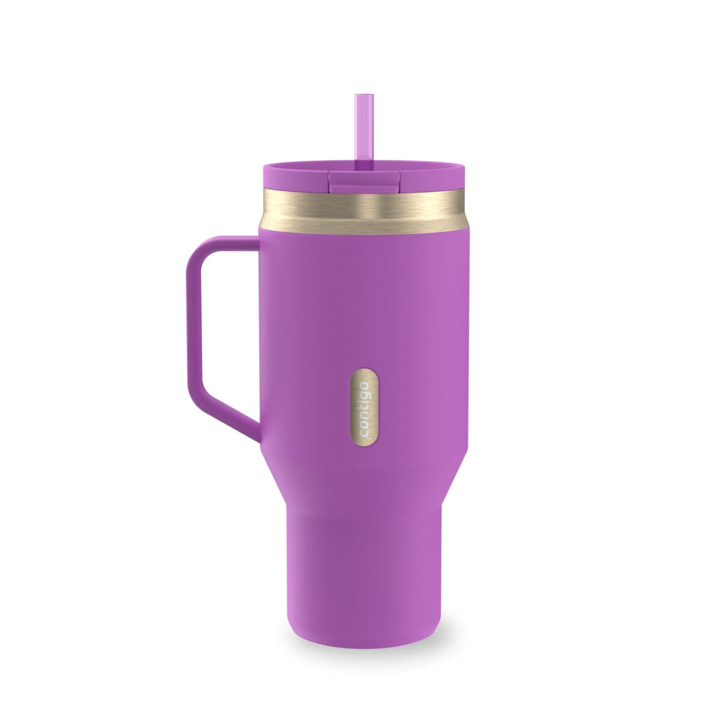 Contigo SnapSeal Leakproof Stainless Steel Reusable Water Bottle Tumbler with Side Handle, Black/Bronze, 30 oz M15H