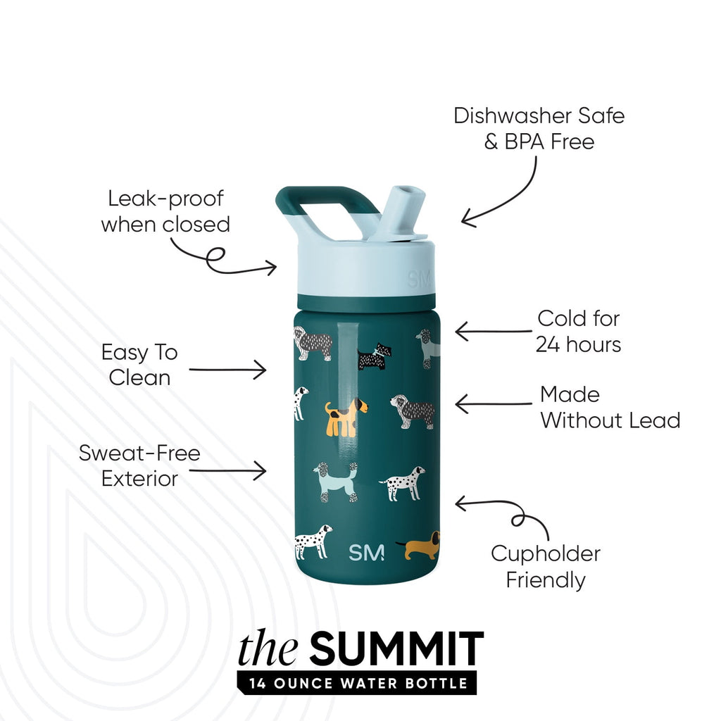 Simple Modern 14oz Summit Water Bottle with Straw Lid | Confetti M429E