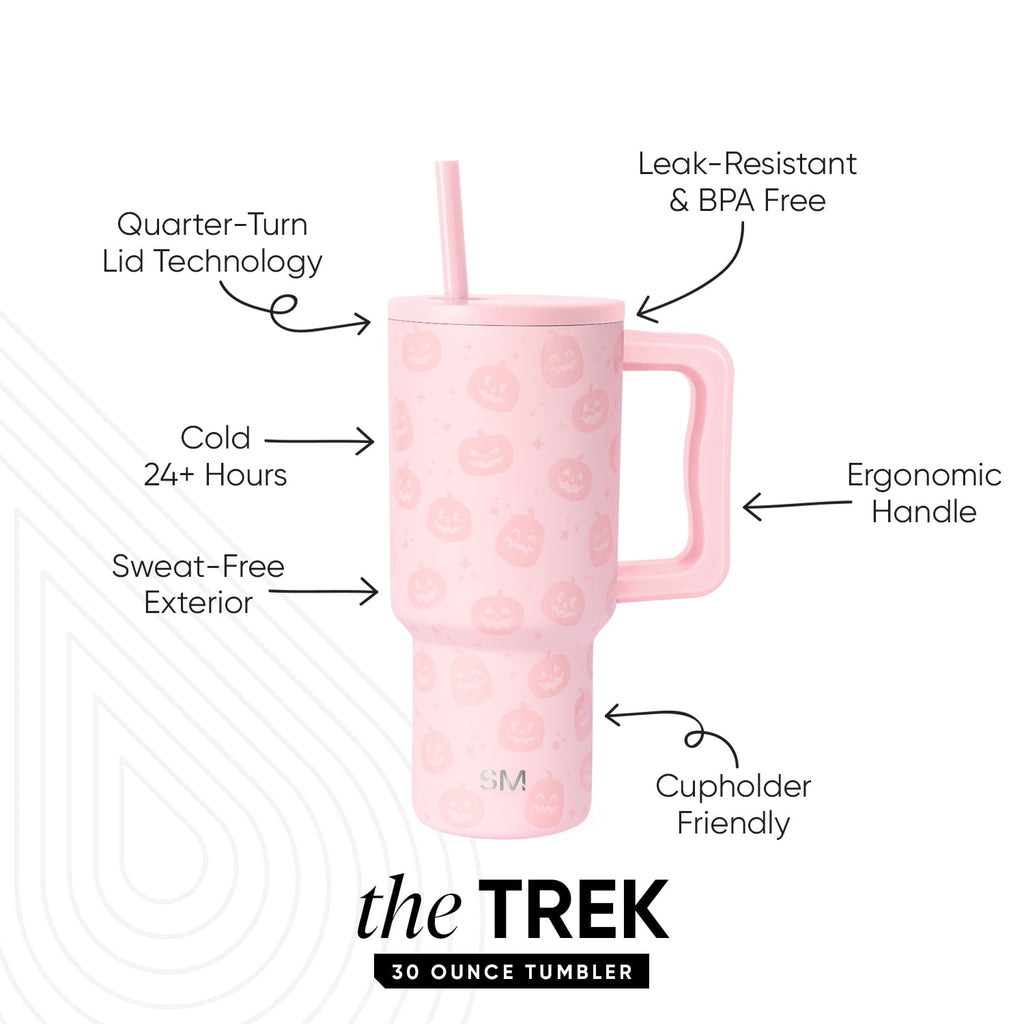 Simple Modern 30 fl oz Insulated Stainless Steel Trek Tumbler with Straw Lid | Seaglass Sage and Cream Checkmate M690P