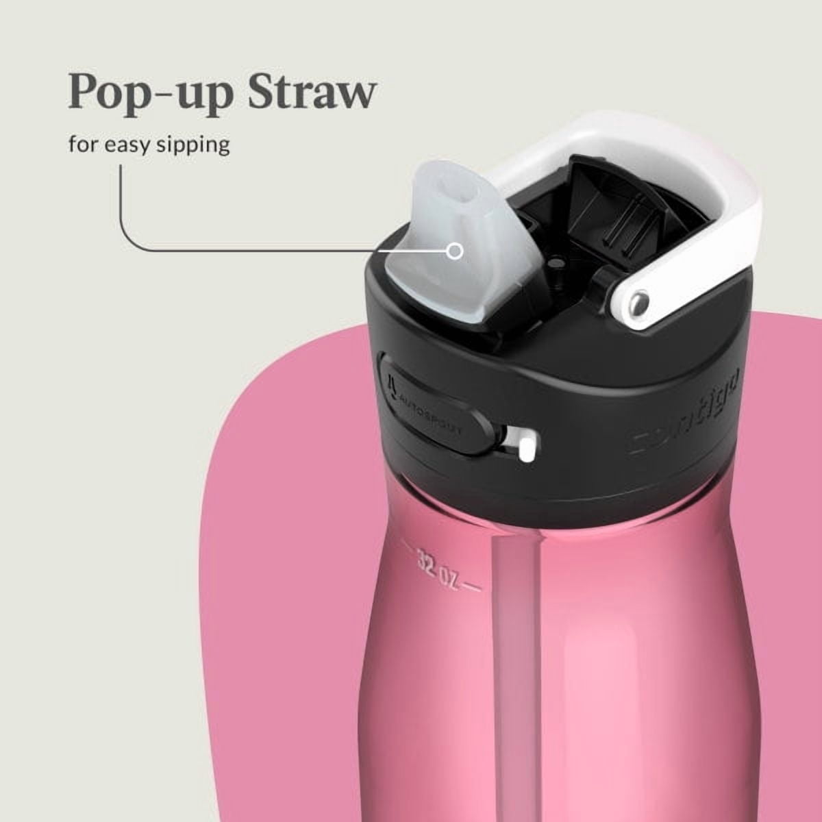 Contigo Ashland 2.0 32 oz Licorice BPA Free Water Bottle M39N