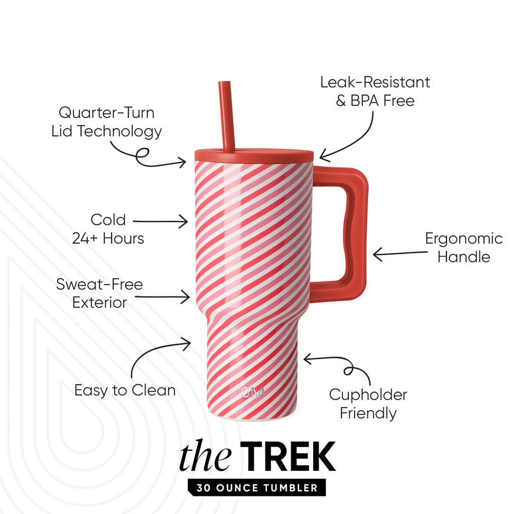 Simple Modern 30 fl oz Insulated Stainless Steel Trek Tumbler with Straw Lid | Seaglass Sage and Cream Checkmate M690P